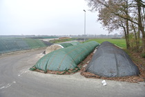 DSC 7800