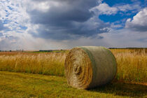 Westfalia Novatex_in_the_field