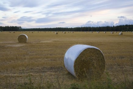 Folie nahrazující síťovinu RaniBind